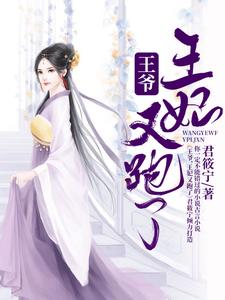 完结版《王爷，王妃又跑了》免费阅读