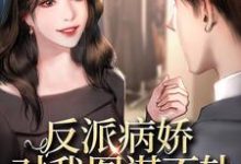 小说《反派病娇对我图谋不轨》章节阅读-经典文学