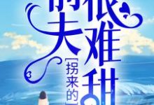 完结版《拐来的前夫很难甜》在线免费阅读-经典文学