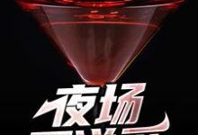 夜场不说爱唐家宁小说在线章节免费阅读-经典文学