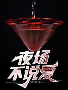 夜场不说爱唐家宁小说在线章节免费阅读
