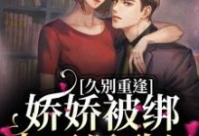 《久别重逢：娇娇被绑去了民政局》小说章节在线试读，《久别重逢：娇娇被绑去了民政局》最新章节目录-经典文学