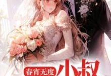 裴言澈楚栀柔小说《春宵无度:小叔宠我上天》在线阅读-经典文学