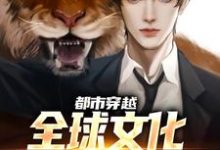 哪里可以免费读到诸葛瑜的完整故事？寻找都市穿越：全球文化在疯狂内卷-经典文学