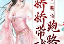俘获太子一胎二宝,娇娇带球跑路了免费阅读,俘获太子一胎二宝,娇娇带球跑路了沈青念宋玄-经典文学