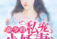 小说《霍少的私宠小娇妻》在线章节阅读-经典文学