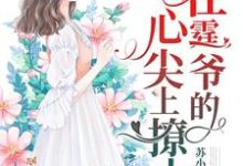 完结版《一胎四宝：在霆爷的心尖上撩火》章节阅读-经典文学