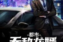 完结版《都市无敌龙婿》章节阅读-经典文学