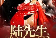 程安安陆熠鸣郑安和厉靳楠是哪本书的主角?寻找陆先生,别来无恙免费阅读-经典文学