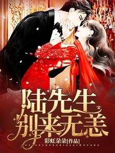 程安安陆熠鸣郑安和厉靳楠是哪本书的主角？寻找陆先生，别来无恙免费阅读
