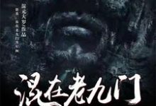 盗墓:混在老九门当军阀免费阅读,盗墓:混在老九门当军阀章节目录-经典文学