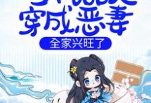 求当机器人穿成恶妻,全家兴旺了小说免费资源-经典文学