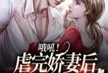 桑田薄肆是哪本书的主角？寻找哦吼！虐完娇妻后，总裁火葬场了免费阅读-经典文学