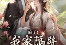 麻了！我家隔壁直通世子书房（谢北衡林湘湘）在线免费阅读-经典文学