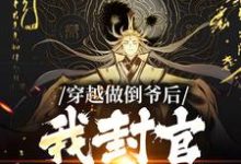 穿越做倒爷后,我封官加爵了免费阅读,穿越做倒爷后,我封官加爵了章节目录-经典文学