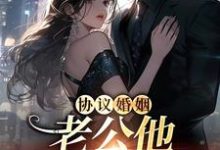 《协议婚姻,老公他不想离婚》小说章节在线试读,《协议婚姻,老公他不想离婚》最新章节目录-经典文学