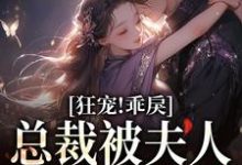 狂宠!乖戾总裁被夫人训服了小说完结版章节免费阅读-经典文学
