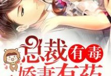 已完结小说《总裁有毒：娇妻有药》在线章节阅读-经典文学