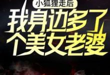 主人公叫卫青狐倾倾的小说小狐狸走后,我身边多了个美女老婆在线阅读章节-经典文学