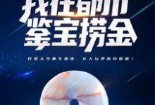 哪里可以免费读到唐顺慕容卿的完整故事?寻找穿越百年,我在都市鉴宝捞金-经典文学