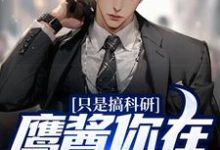 只是搞科研,鹰酱你在怕什么?小说的免费阅读版本在哪里可以找到?-经典文学