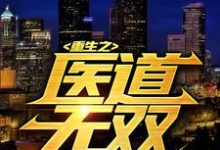 重生之医道无双叶枫在线章节免费阅读-经典文学