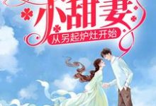 八零娇娇小甜妻，从另起炉灶开始这本小说完结了吗？免费查看最新章节-经典文学