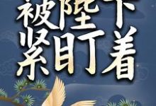 小太监她被陛下紧盯着章节免费在线阅读,叶飘离完结版-经典文学