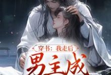 完结版《穿书:我走后,男主成黑莲花了》免费阅读-经典文学