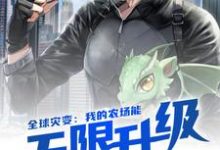 全球灾变:我的农场能无限升级这本小说完结了吗?免费查看最新章节-经典文学