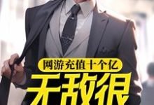 肖文沈舒怡为主角的小说好看吗?求网游充值十个亿,无敌很正常吧免费试读-经典文学