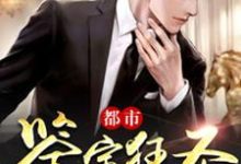 秦昊雯静小说在线章节免费阅读（都市鉴宝狂圣无弹窗无删减）-经典文学