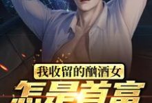 我收留的酗酒女,怎是首富继承人?林海小说大结局免费试读-经典文学