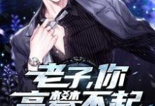 老子,你高攀不起(叶凡方雅柔)在线免费阅读-经典文学