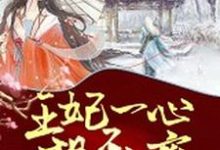 主人公叫苏夏元衡的小说哪里免费看-经典文学