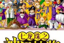 主人公叫叶林布尔玛的小说哪里免费看-经典文学