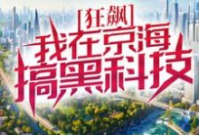 狂飙:我在京海搞黑科技徐雷小说在线章节目录阅读最新章节-经典文学