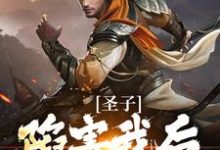 叶圣陶小说在线章节免费阅读(圣子陷害我后,宗门暴乱无弹窗无删减)-经典文学