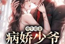 小说《重生追妻:病娇少爷他超爱》在线章节阅读-经典文学