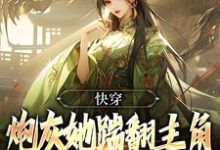 林暮暮林思瑶为主角的小说叫什么？免费看快穿：炮灰她踹翻主角自己修仙上位-经典文学