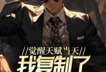 觉醒天赋当天，我复制了SSS级天赋小说的无弹窗阅读体验，寻找免费阅读网站-经典文学