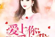 赵静静单昊天小说《爱上你爱上我》在线阅读-经典文学