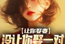已完结小说《让你娶妻,没让你娶一对富婆姐妹啊》章节免费阅读-经典文学
