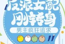 主人公叫柳萋寻季安的小说反派女配刚转身，男主疯狂追求在线阅读章节-经典文学