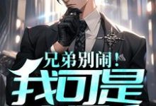 主角念曦霍辰小说兄弟别闹!我可是真男人免费阅读-经典文学