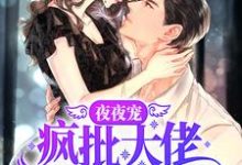 夜夜宠，疯批大佬霸道撩妻秦衍慕瓷，夜夜宠，疯批大佬霸道撩妻在线无弹窗阅读-经典文学