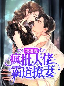 夜夜宠，疯批大佬霸道撩妻秦衍慕瓷，夜夜宠，疯批大佬霸道撩妻在线无弹窗阅读
