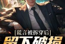 已完结小说《谎言被拆穿后，留下破损的婚姻》章节免费阅读-经典文学