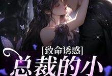 傅辰笙沈漓为主角的小说好看吗?求致命诱惑:总裁的小娇妻被独宠免费试读-经典文学