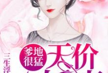 爹地很猛:天价小娇妻小说的免费电子版在哪里可以下载或阅读?-经典文学